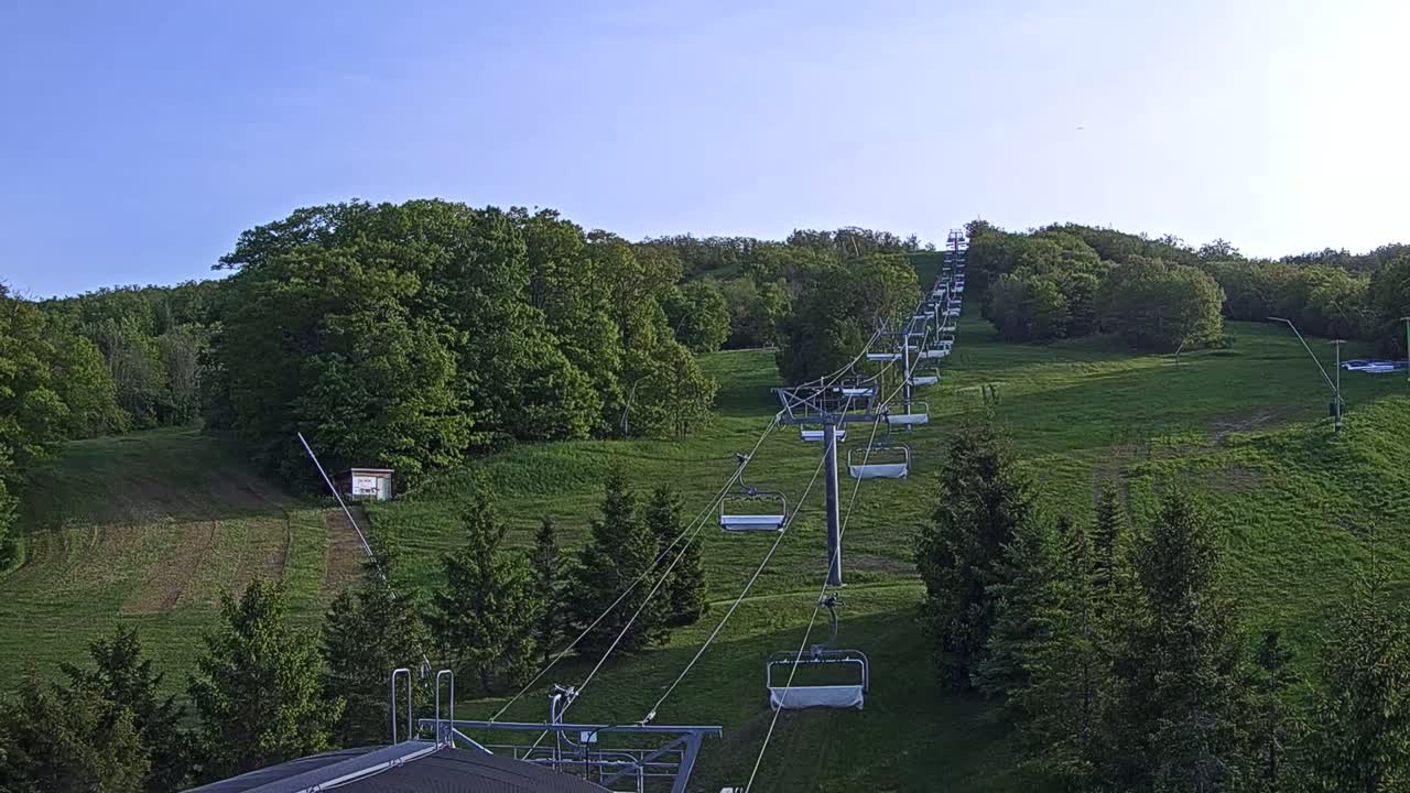 A chairlift ascends a grassy hillside dotted with evergreen and deciduous trees under a clear blue sky.