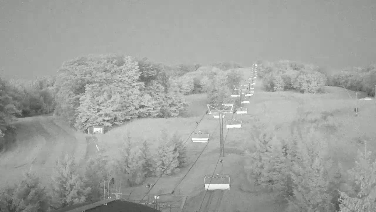 A chairlift ascends a hill covered in trees under an overcast sky.