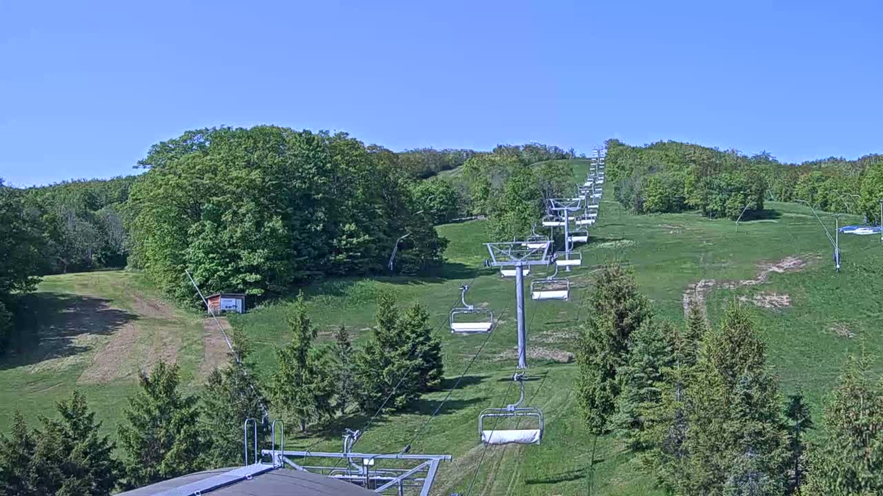 A chairlift ascends a grassy hillside dotted with green trees under a clear blue sky.