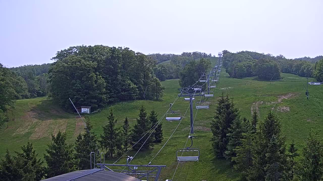 A chairlift ascends a grassy hillside dotted with evergreen trees under a clear, bright sky.