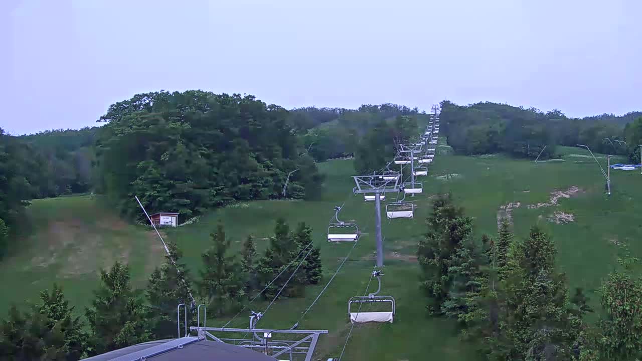 A chairlift ascends a grassy hill covered in lush green trees under an overcast sky.
