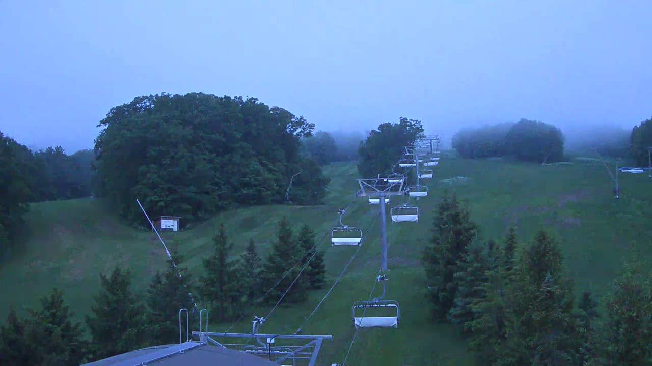 A chairlift extends up a grassy hill shrouded in fog, past evergreen trees and clusters of deciduous trees.