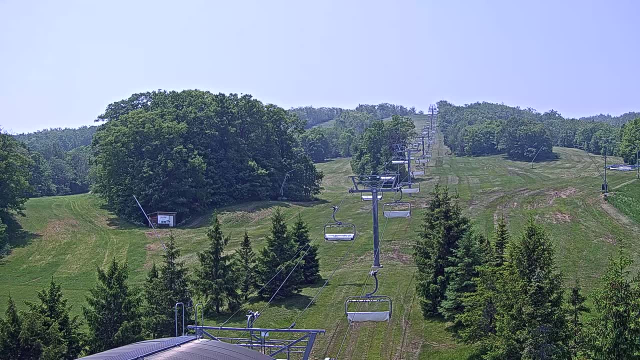 A chairlift ascends a grassy hill dotted with evergreen trees under a clear sky.