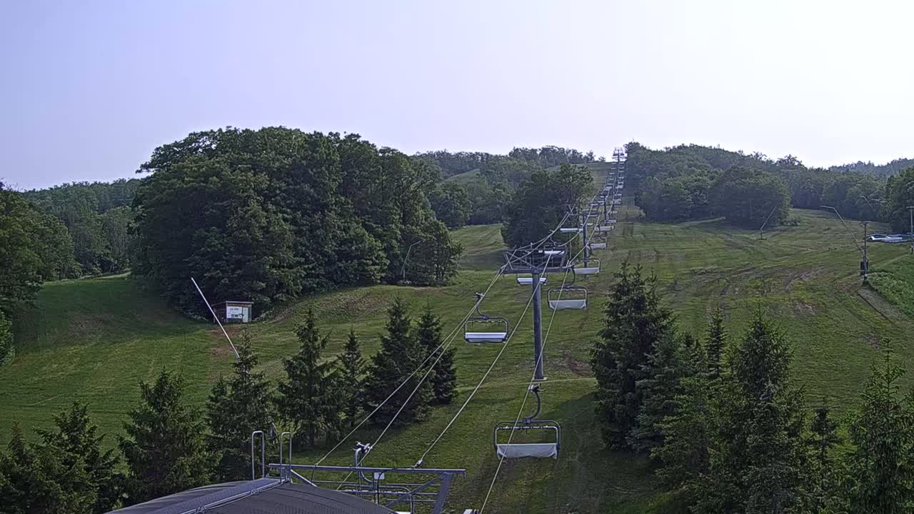 A chairlift ascends a grassy hill covered in green trees under a clear, light-blue sky.