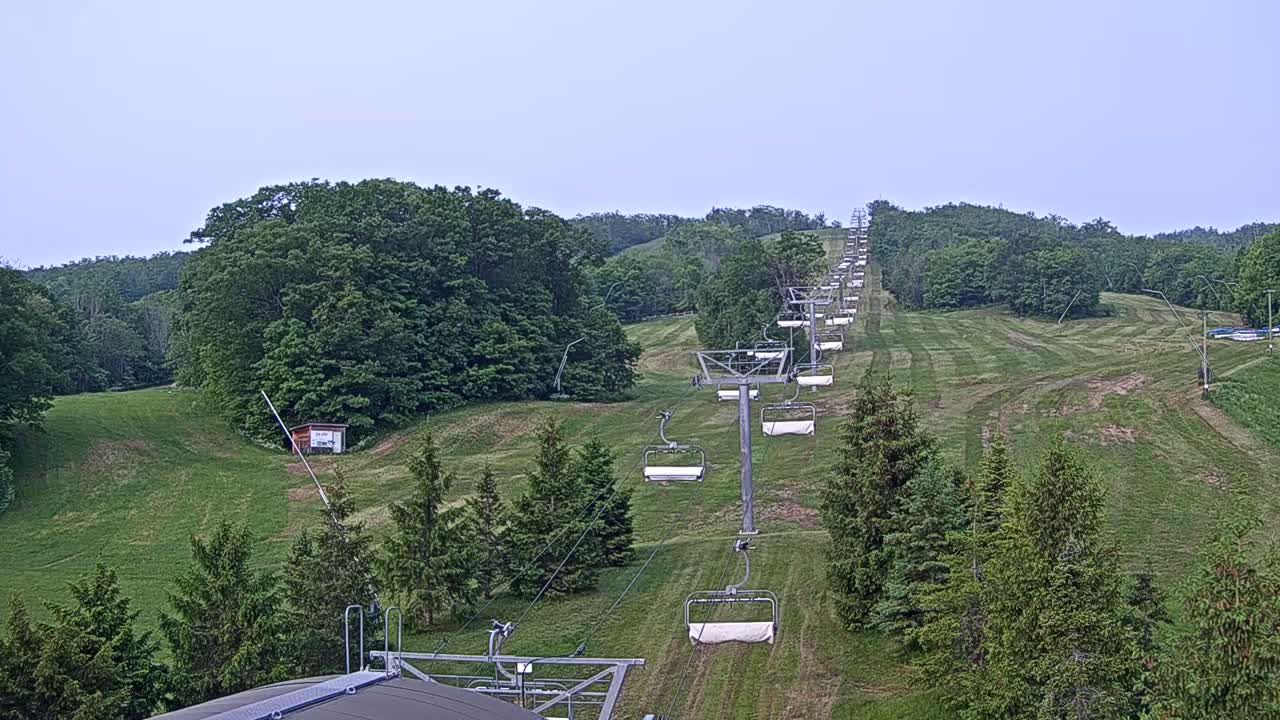 A chairlift extends uphill through a grassy hillside dotted with evergreen trees under a clear, light-grey sky.