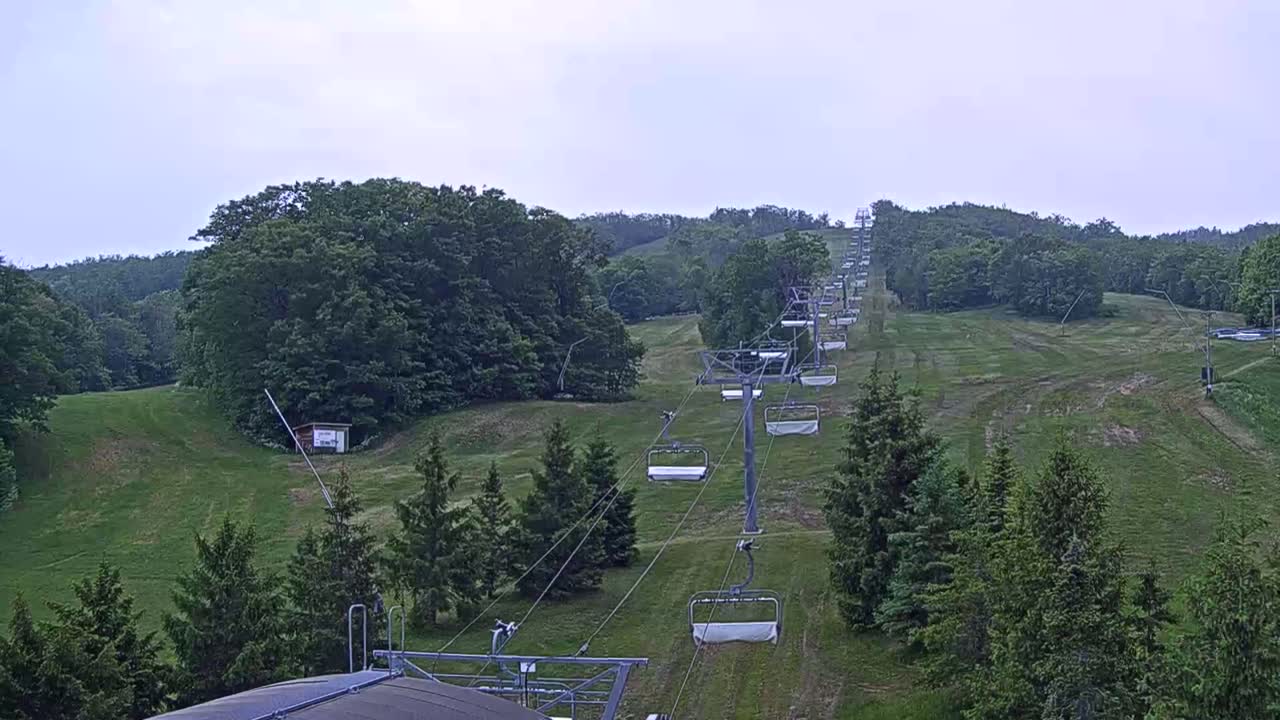 A chairlift ascends a grassy hill dotted with evergreen trees under an overcast sky.