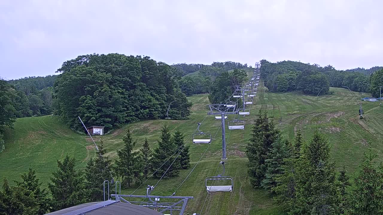 A chairlift ascends a grassy hill covered in lush green trees under an overcast sky.