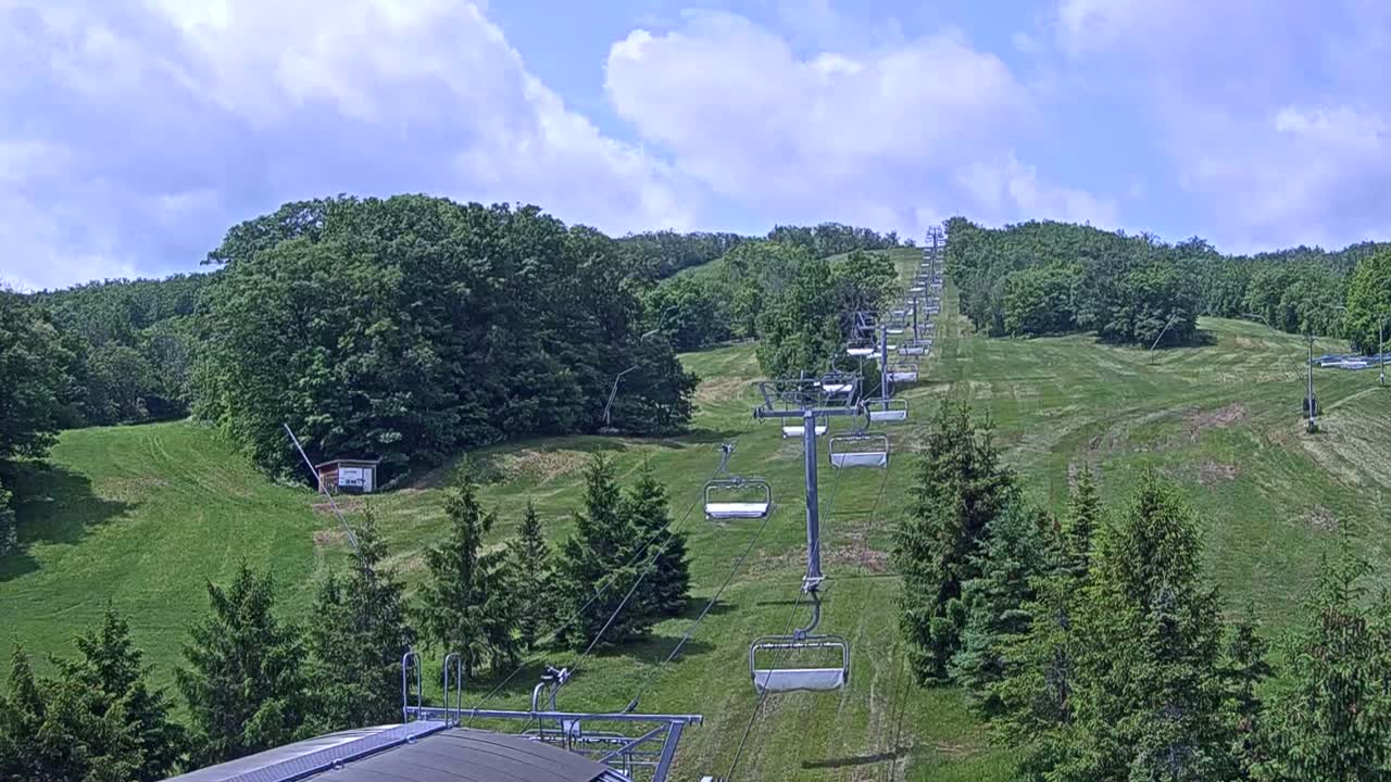 A chairlift ascends a grassy hillside dotted with evergreen trees under a partly cloudy sky.