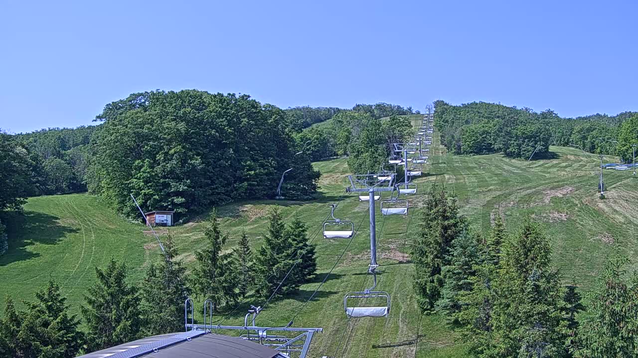 A chairlift ascends a grassy hillside dotted with evergreen trees under a clear blue sky.