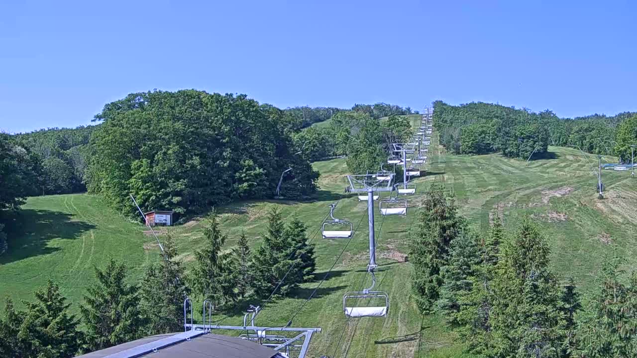 A chairlift extends uphill through a grassy ski slope surrounded by lush green trees under a clear blue sky.