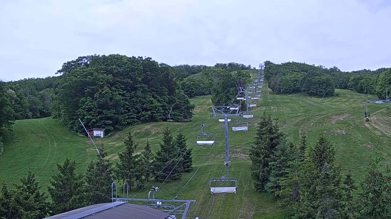 A chairlift ascends a grassy hill covered in green trees under an overcast sky.