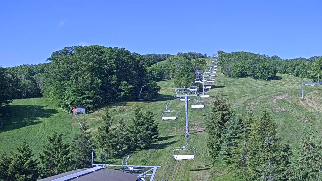 A chairlift ascends a grassy hill dotted with evergreen trees under a clear blue sky.