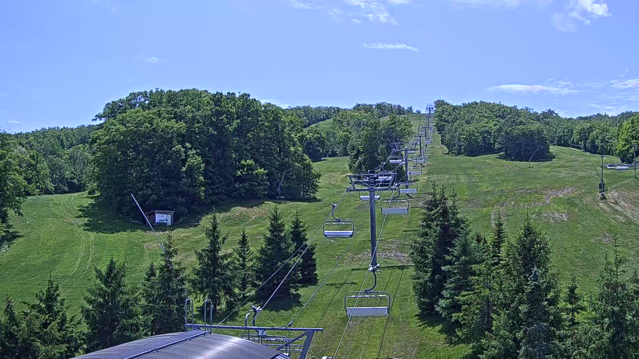 A chairlift ascends a grassy hill covered in evergreen and deciduous trees under a clear, sunny sky.