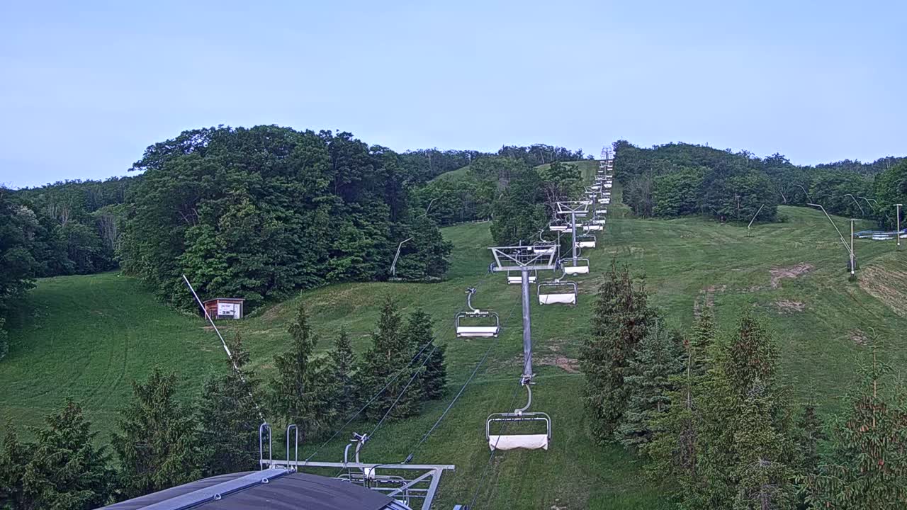 A chairlift ascends a grassy hillside dotted with evergreen trees under a clear, light-blue sky.
