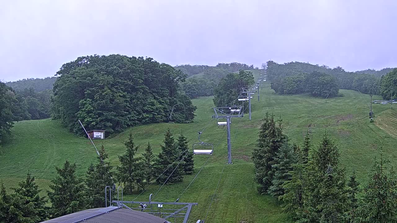A chairlift ascends a grassy hill dotted with evergreen trees under an overcast sky.