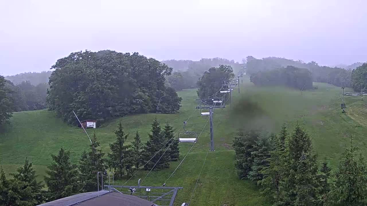 A chairlift ascends a grassy hill surrounded by green trees in foggy weather.