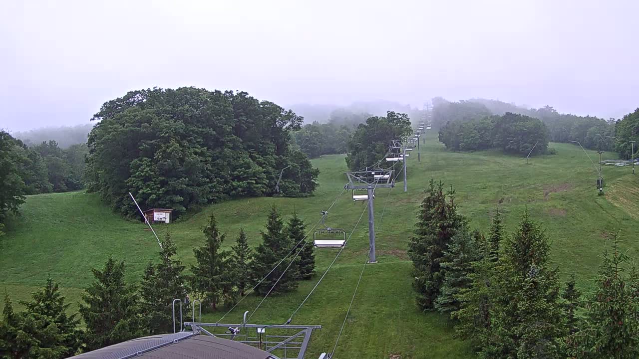 A chairlift ascends a grassy hill covered in green trees under a foggy sky.
