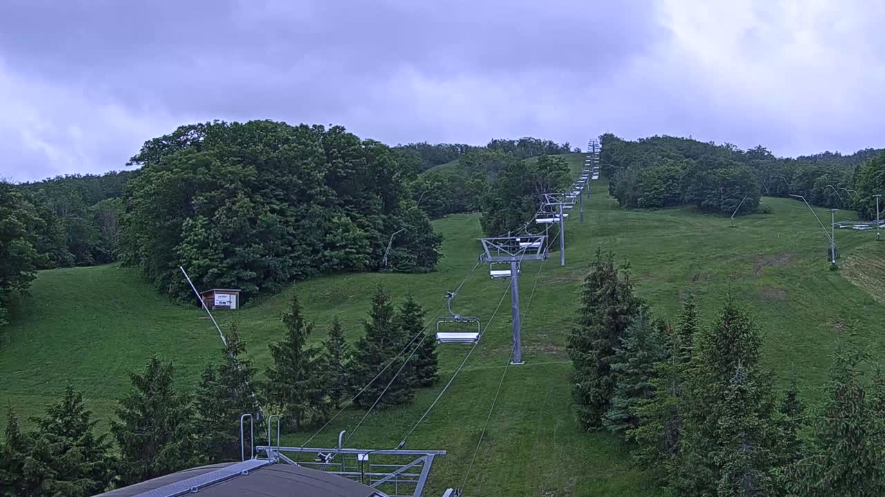 A chairlift ascends a grassy hillside dotted with evergreen trees under an overcast sky.