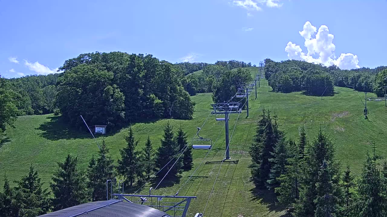 A chairlift ascends a grassy hill dotted with evergreen trees under a mostly sunny sky with a few fluffy clouds.
