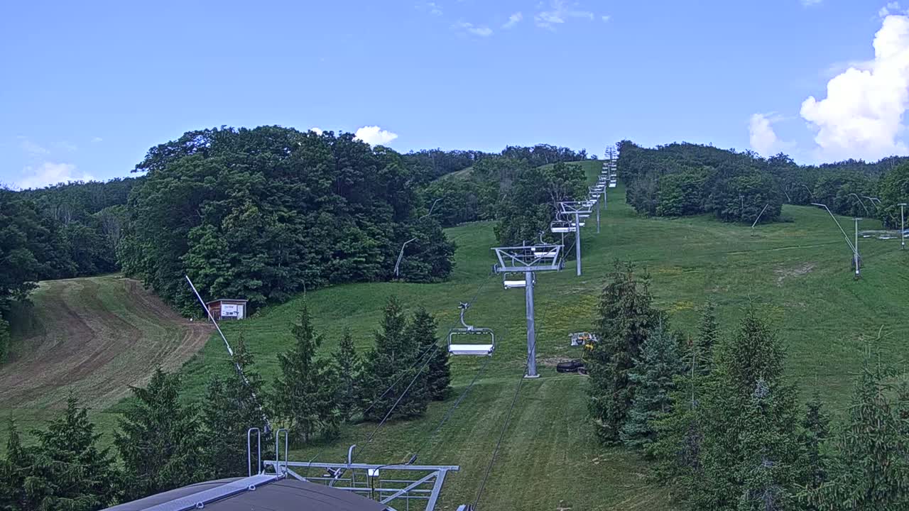 A chairlift ascends a grassy hillside dotted with evergreen trees under a mostly sunny sky.