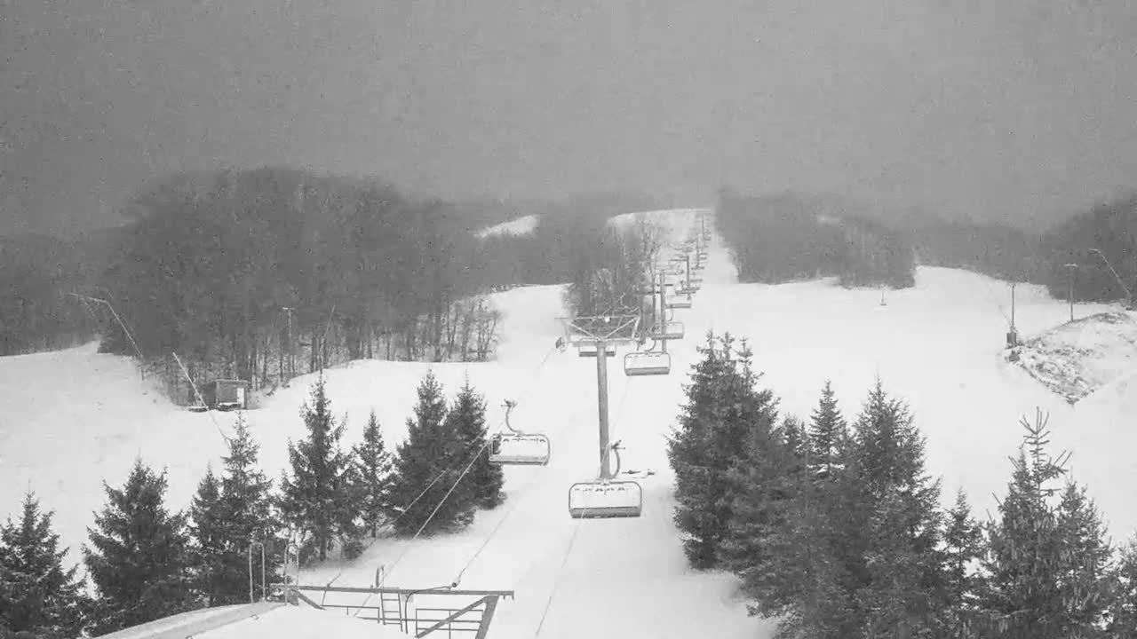 A grayscale image displays a snow-covered ski slope with a chairlift ascending uphill between scattered evergreen trees, under a heavily overcast sky with low visibility, suggesting foggy or actively snowing conditions.