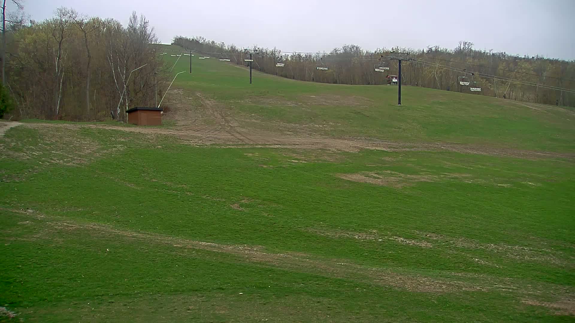 A grassy hillside with several empty chairlifts and a small brown building under an overcast sky.