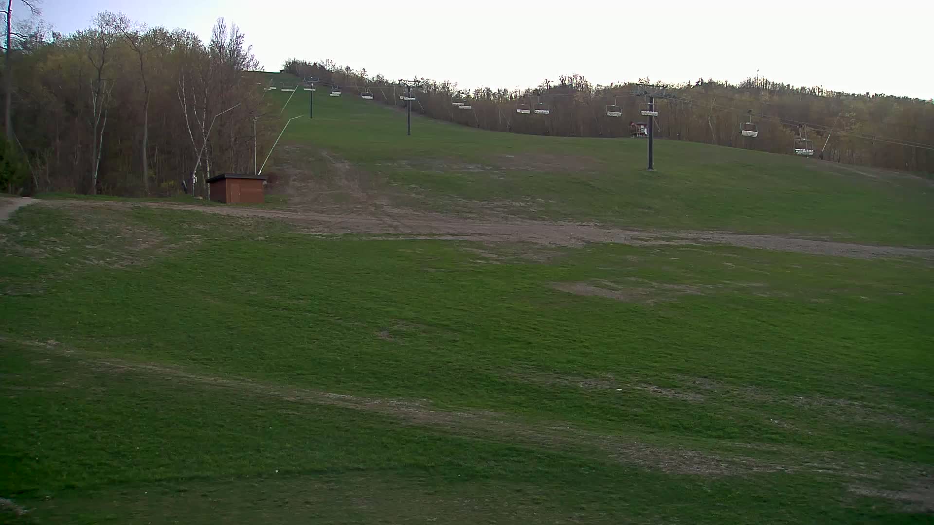 A grassy hillside with a chairlift ascending into a wooded area under an overcast sky.