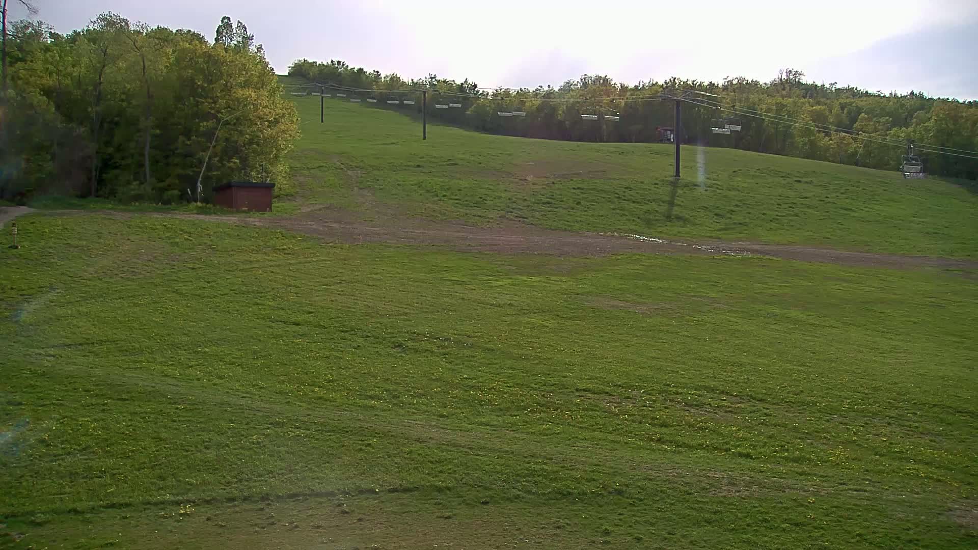A grassy hillside with a chairlift ascending into a forest under a cloudy sky.
