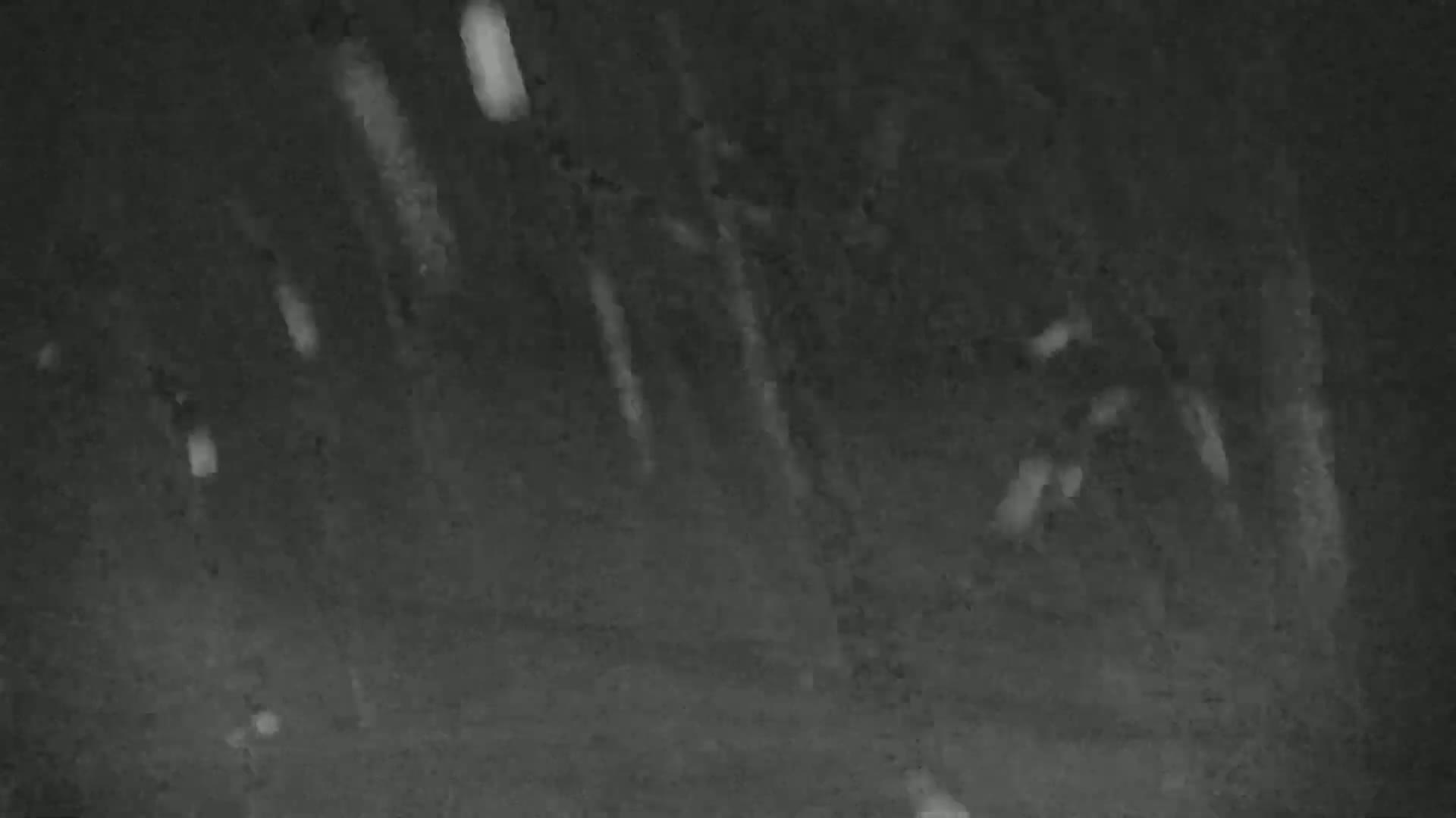 The image shows streaks of light against a dark, nighttime background, possibly depicting falling snow or rain.