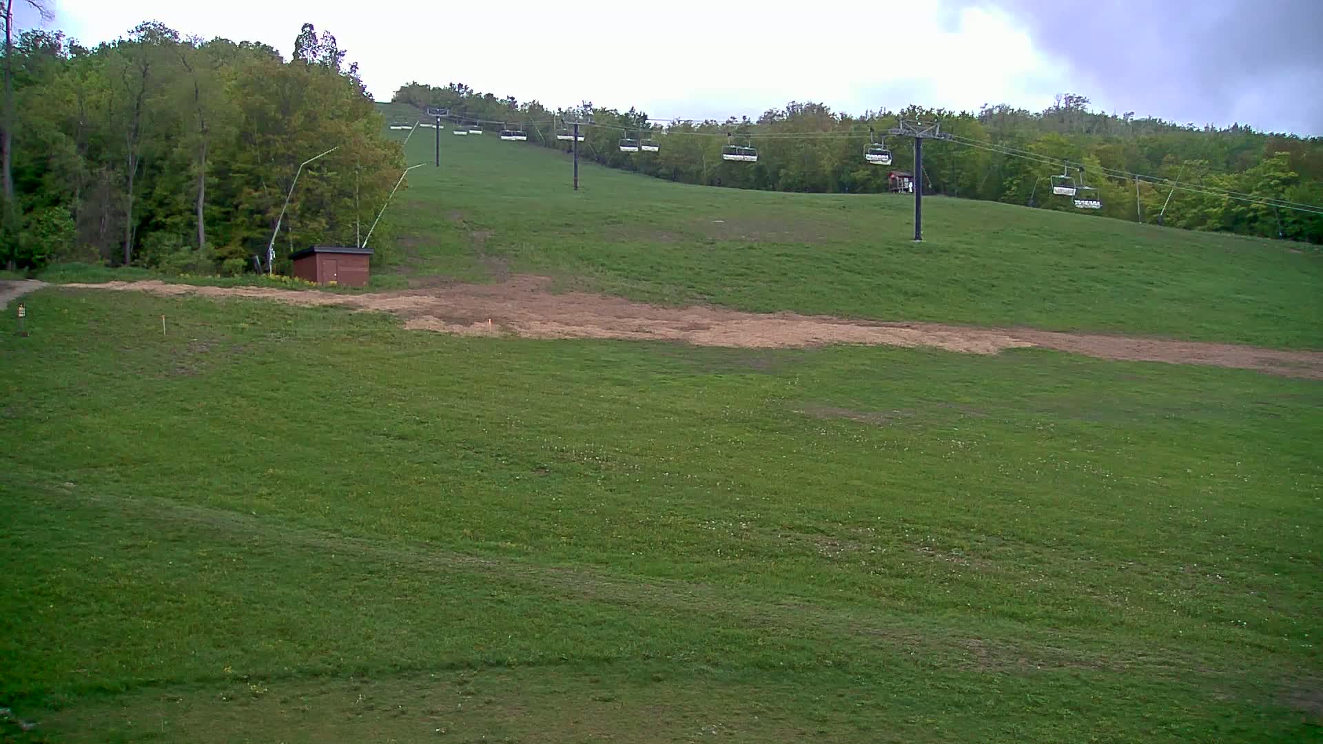 A grassy hillside with a chairlift ascending into a wooded area under a cloudy sky.