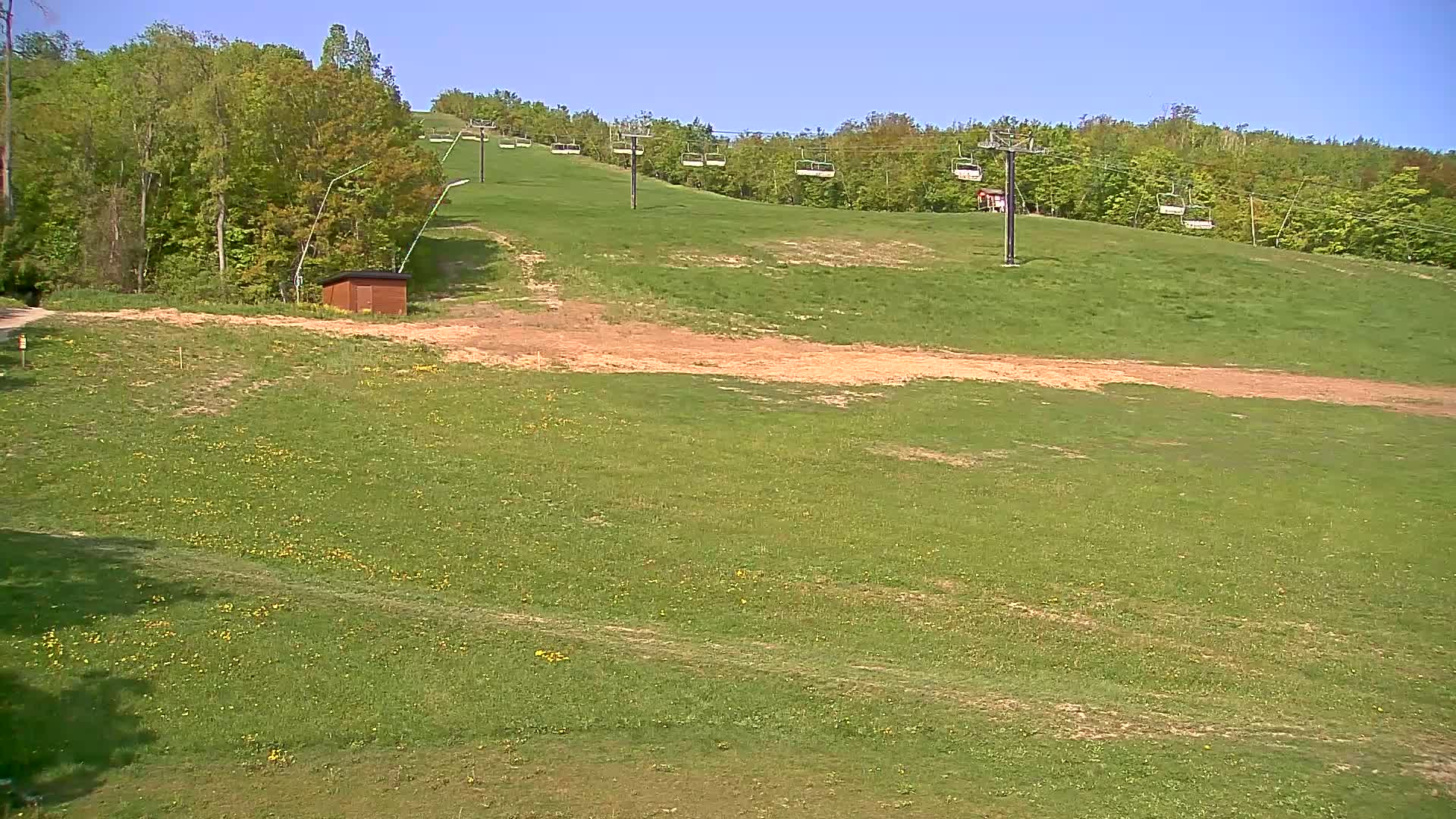 A grassy hillside with a chairlift ascending into a forest under a clear blue sky.