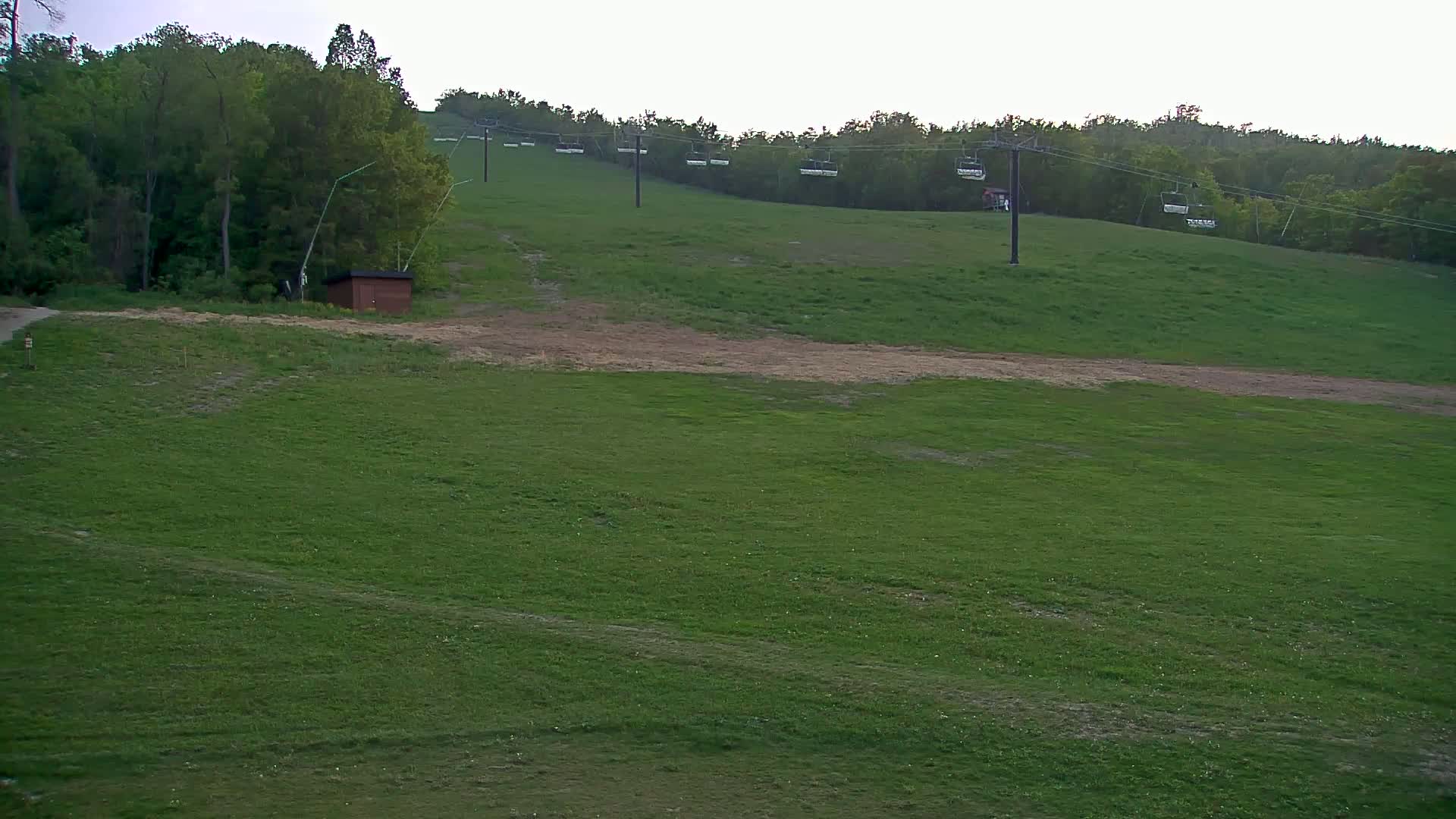 A grassy hillside with a chairlift ascending into a wooded area under an overcast sky.