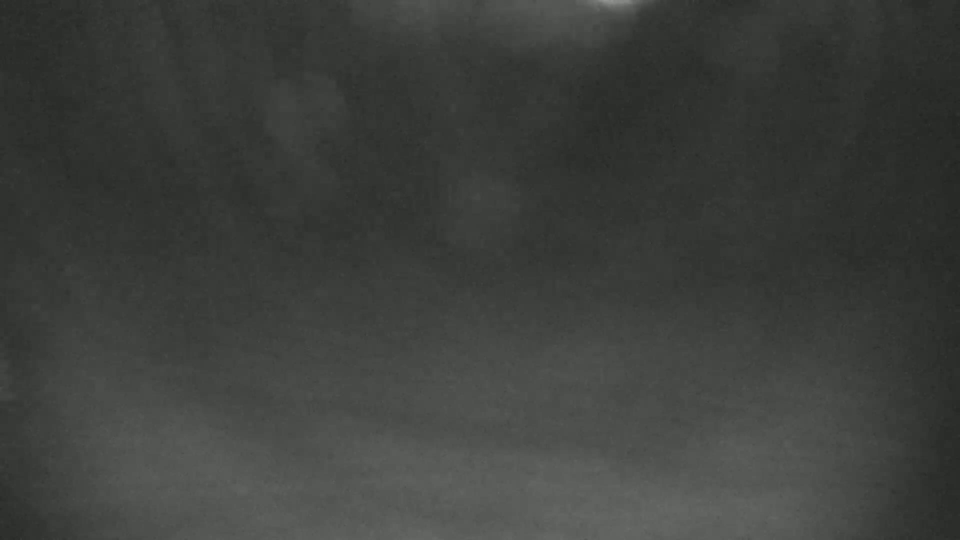 The image shows a dark, blurry outdoor scene with heavy fog or snow obscuring visibility.