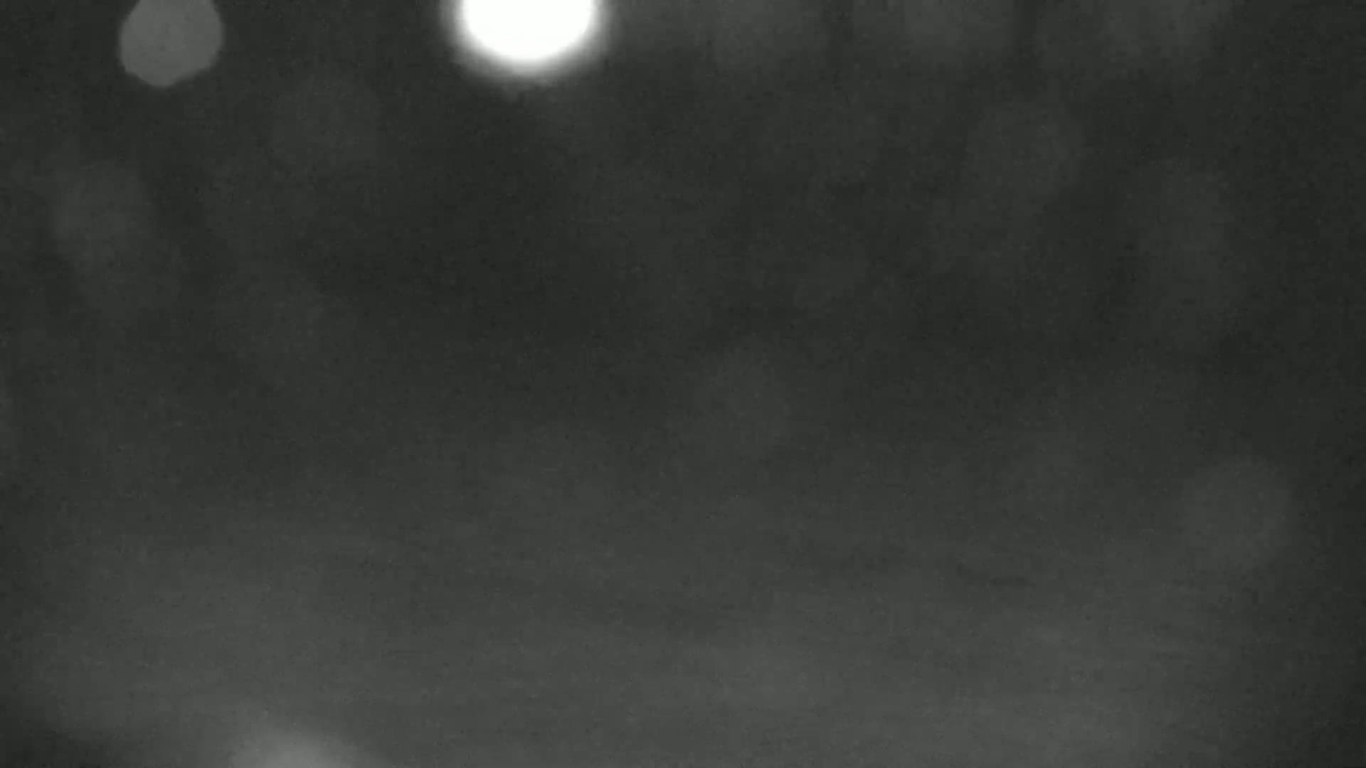 A blurry, dark nighttime scene shows a dimly lit, possibly snowy, area with out-of-focus lights in the background.