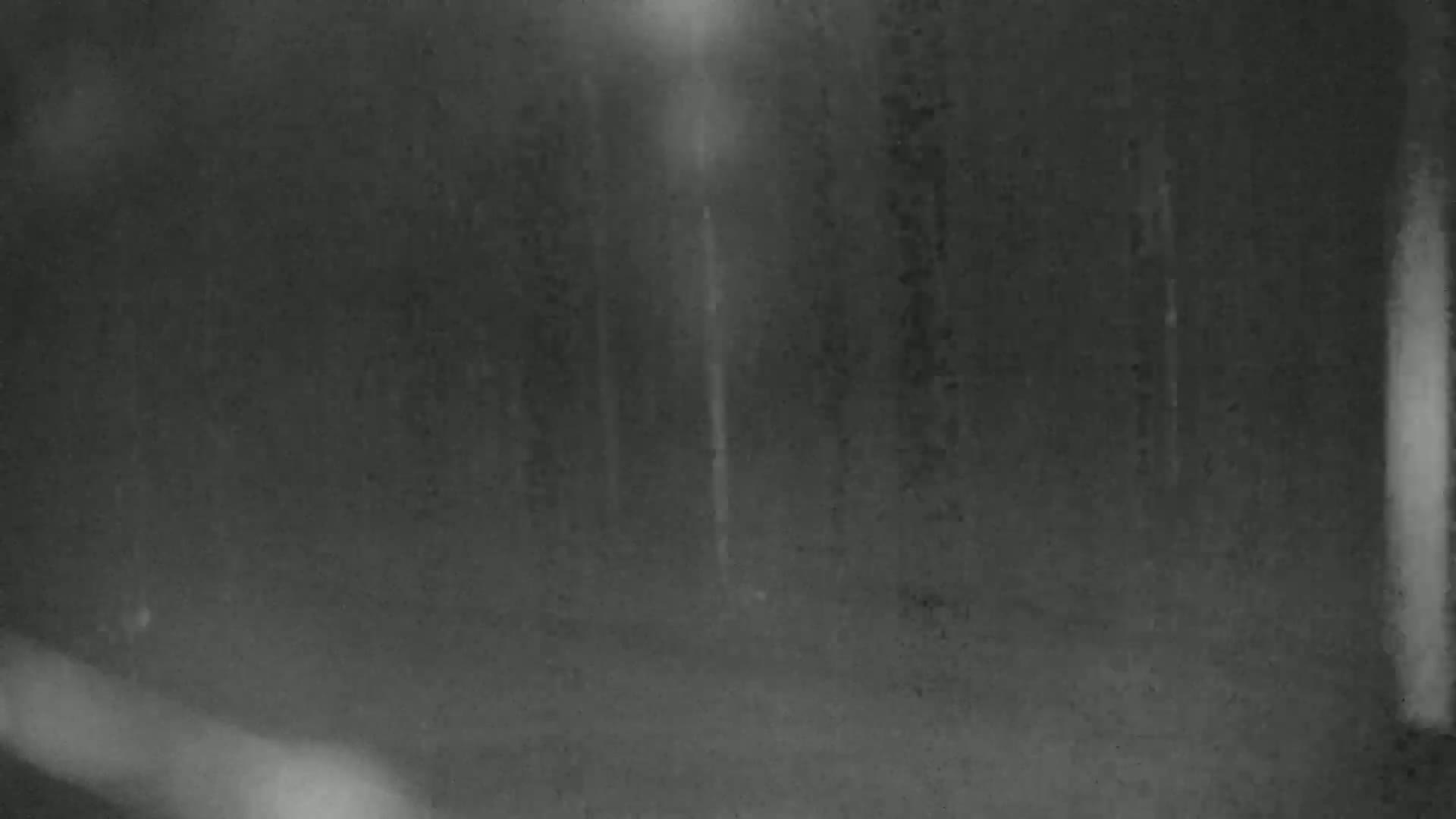 A blurry, dark grayscale image shows a dimly lit, possibly wooded area at night.