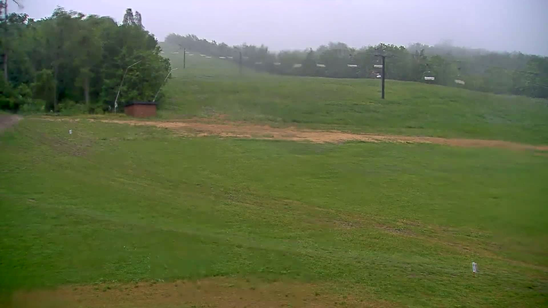 A grassy hillside with a ski lift in the background on a foggy, overcast day.
