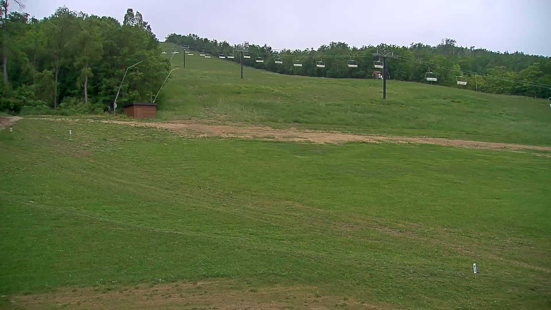 A grassy hillside with a chairlift ascending into a wooded area under an overcast sky.
