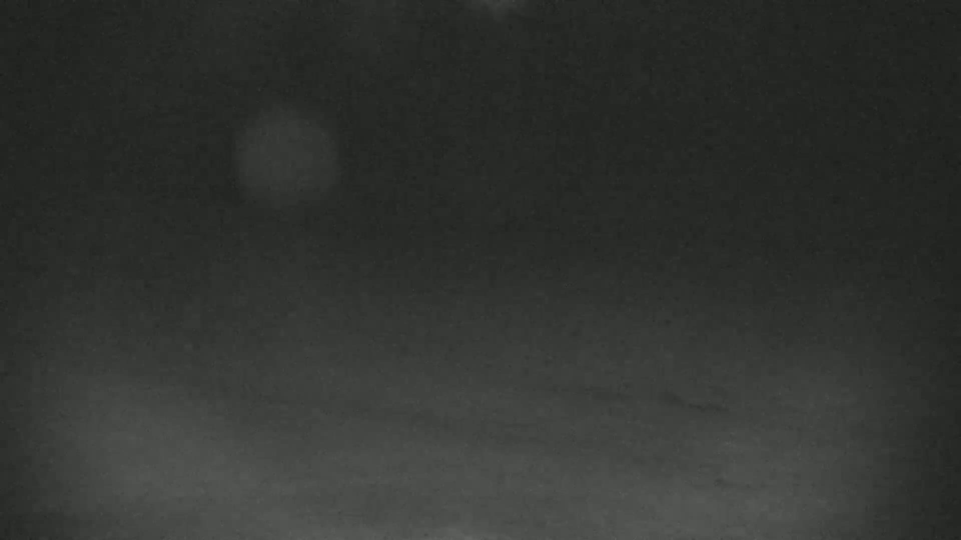 A blurry, dark, nighttime image shows a mostly indistinct ground covered in snow or light dust.