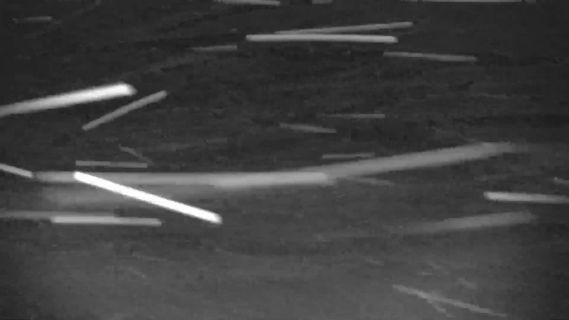 A blurry, black and white image displays numerous bright, elongated streaks against a dark, textured background, suggesting falling snow at night.