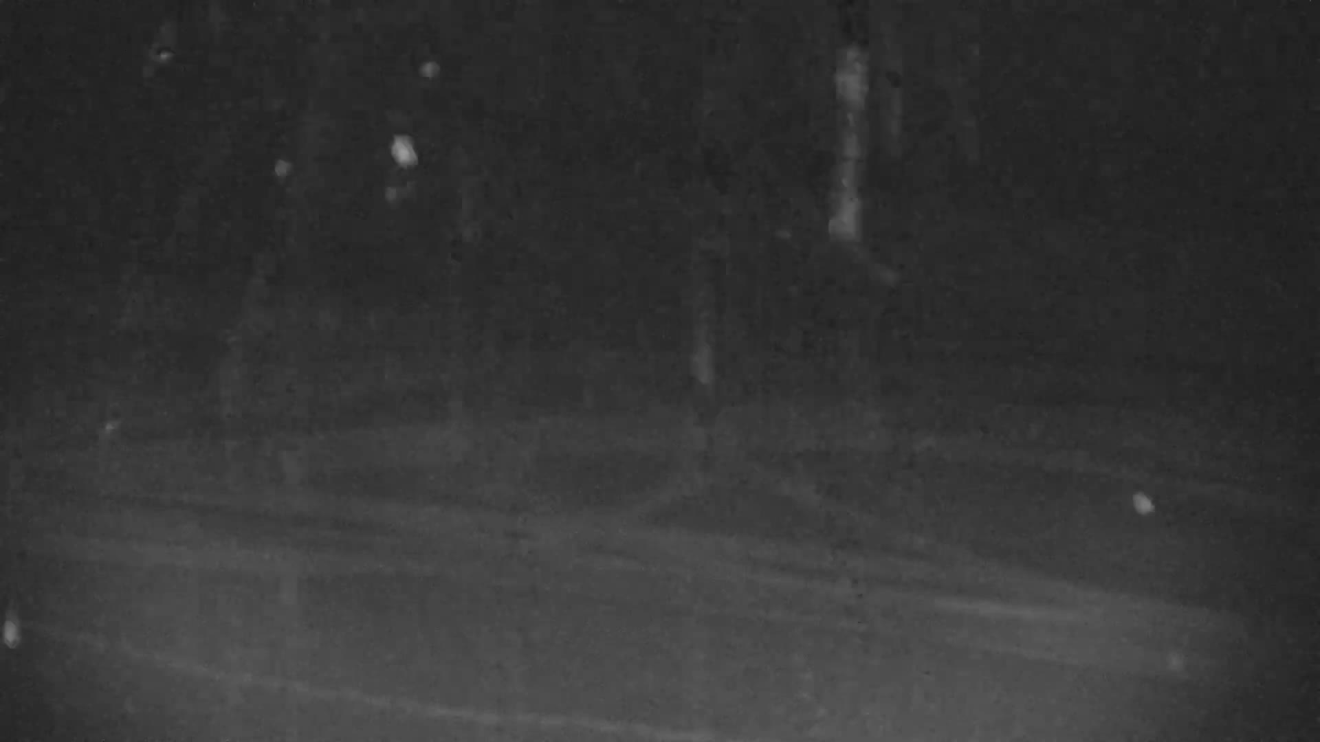 A dark, blurry grayscale image shows an outdoor night scene with faint outlines of trees and ground, peppered with numerous bright, scattered spots that suggest falling snow or rain.