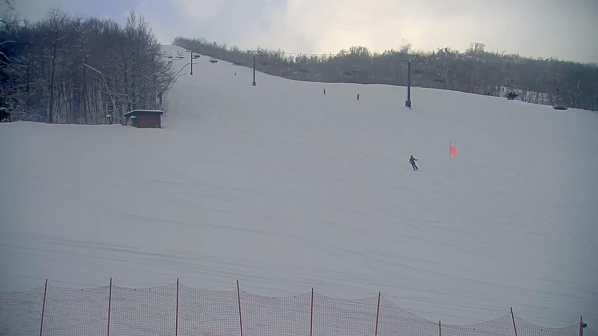 A dark, blurry grayscale image shows an outdoor night scene with faint outlines of trees and ground, peppered with numerous bright, scattered spots that suggest falling snow or rain.