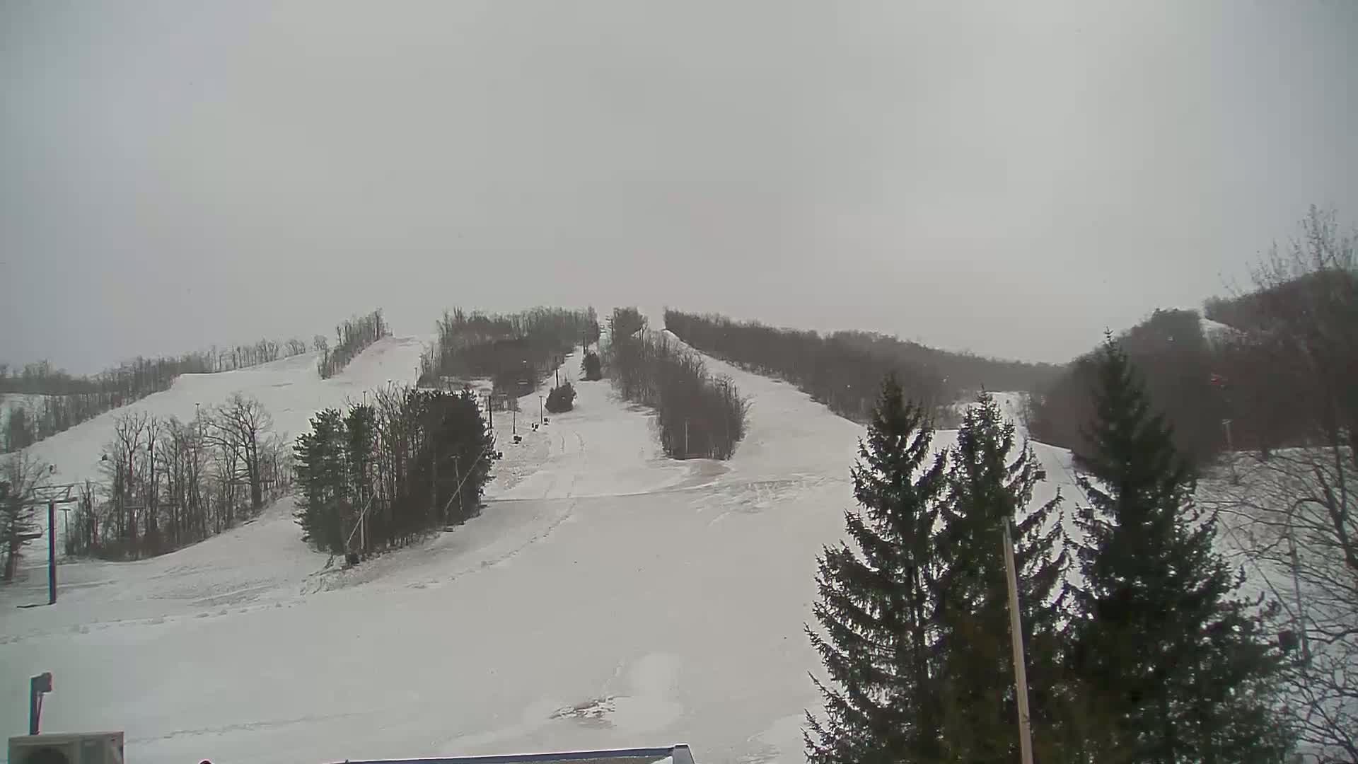 A snow-covered ski slope with several runs and trees under an overcast sky.