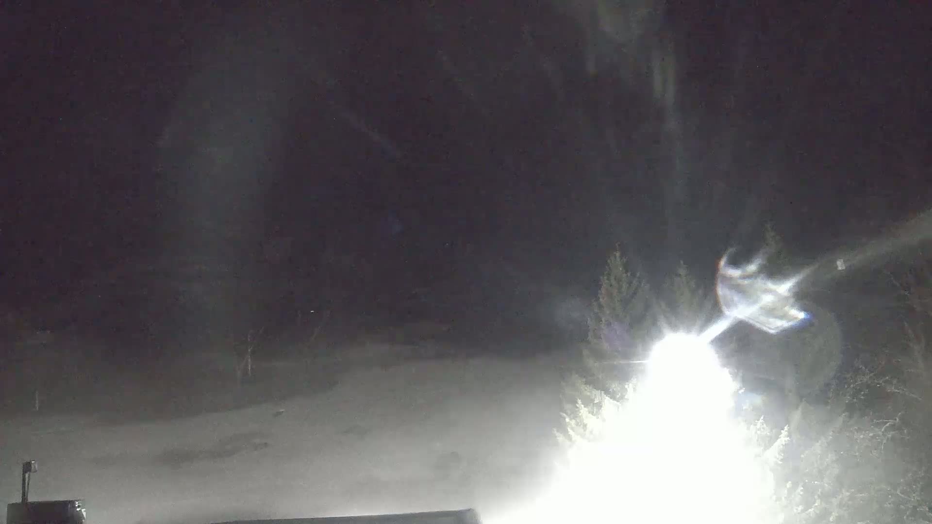 A bright light shines on a snow-covered ground at night, illuminating some evergreen trees and causing lens flares.