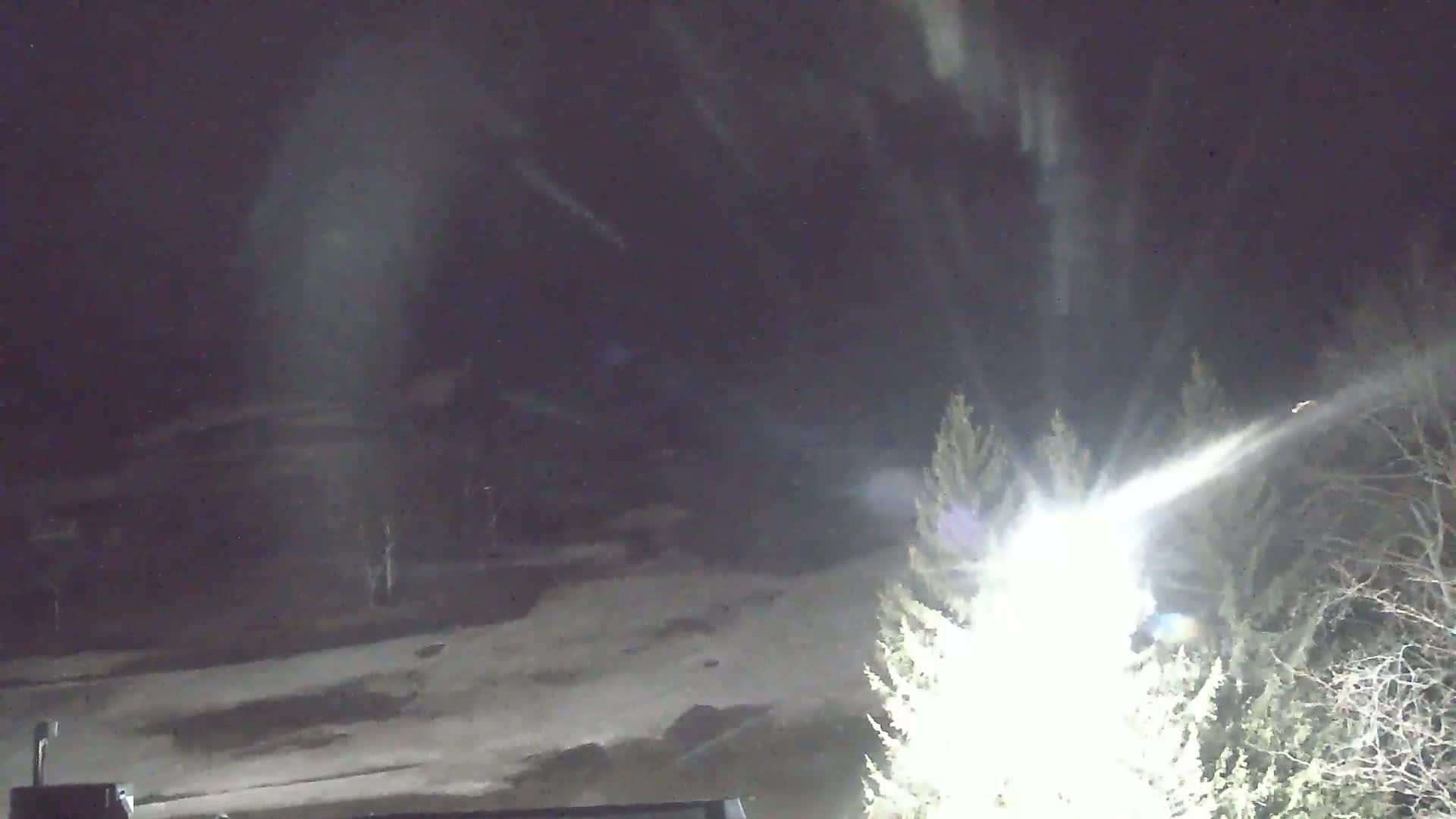A nighttime scene of snow falling, illuminated by a bright light source near some evergreen trees.