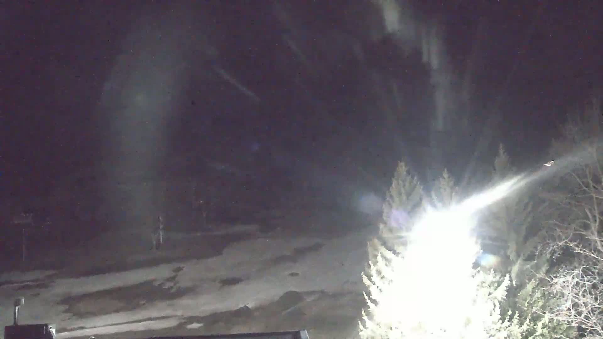 A nighttime, snowy scene shows a bright light illuminating snow-covered ground and trees under a dark sky with falling snow.