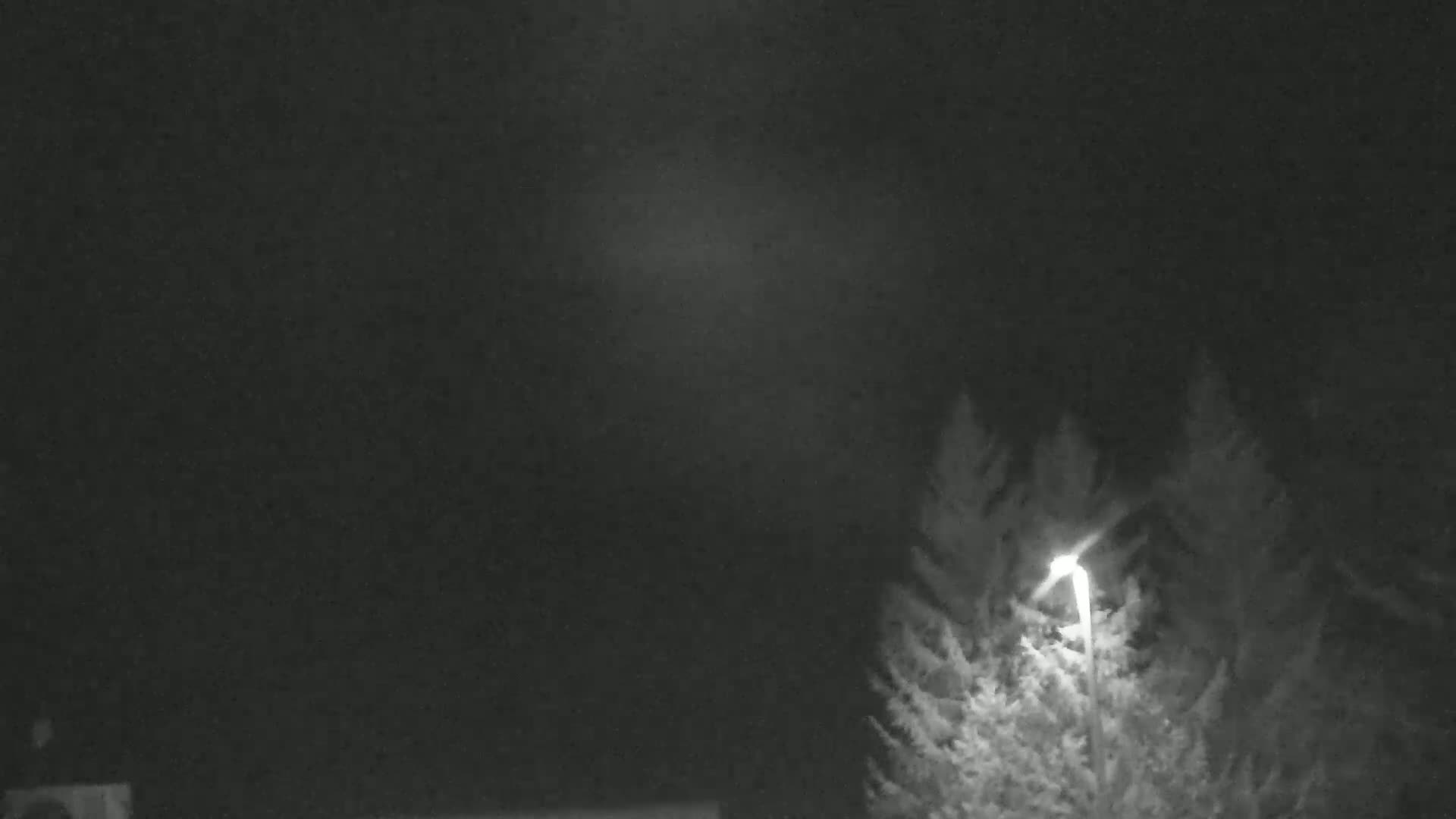 A nighttime, low-light image shows a lit streetlamp partially obscured by coniferous trees under a dark sky.