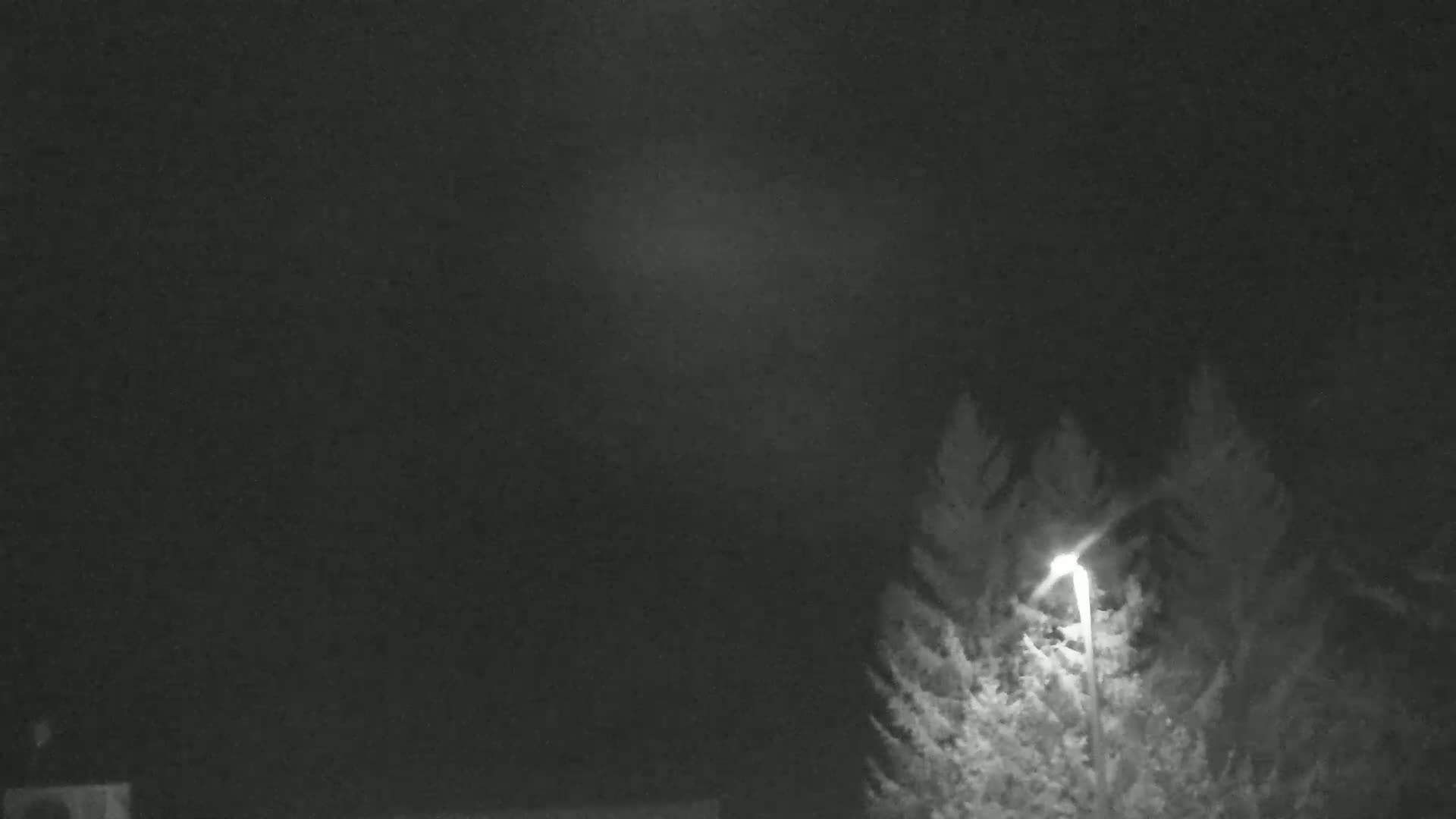 A brightly lit lamppost stands behind a silhouetted evergreen tree under a dark, cloudy night sky.