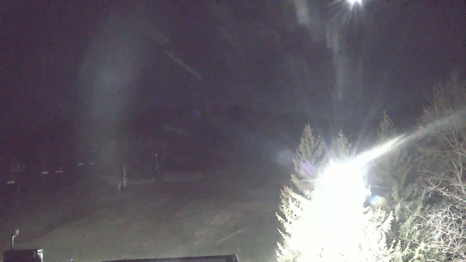 A nighttime, snow-covered scene shows a bright light shining through trees, illuminating a mostly empty area in the distance.