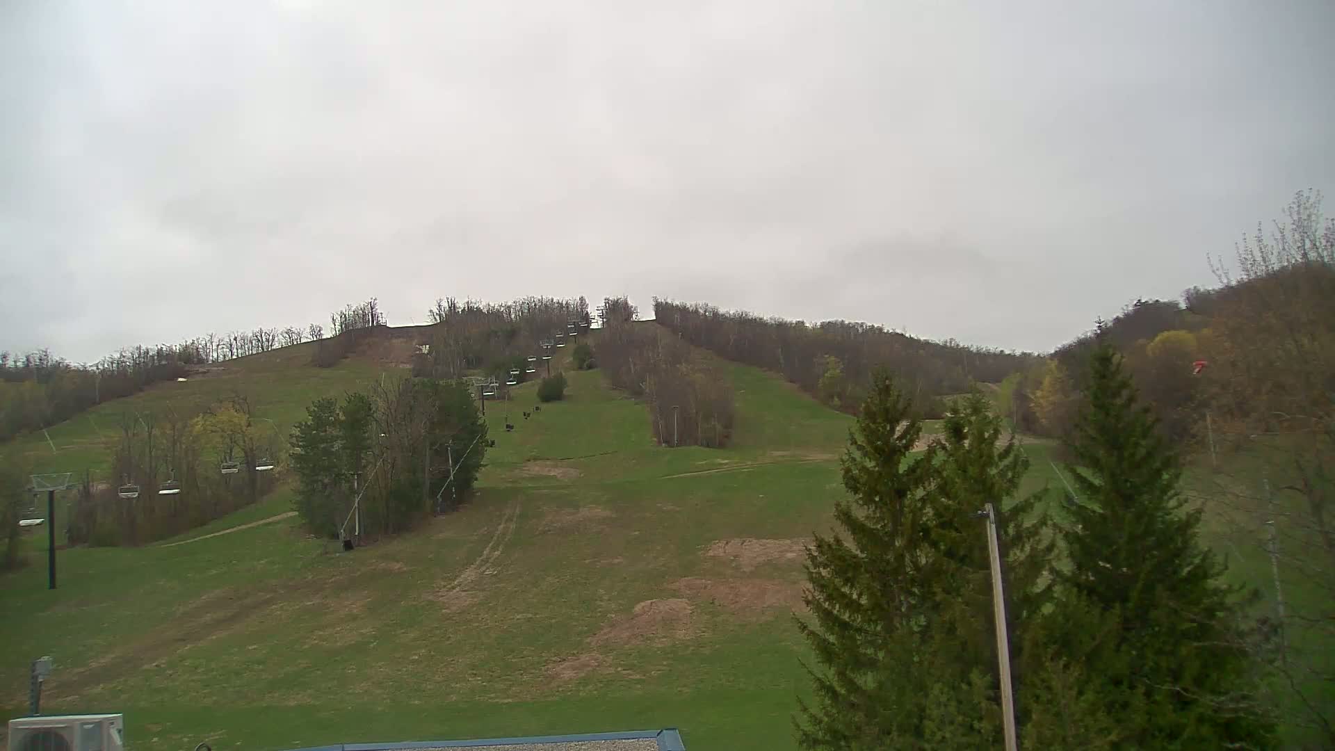 A grassy ski hill with chairlifts and trees under an overcast sky.
