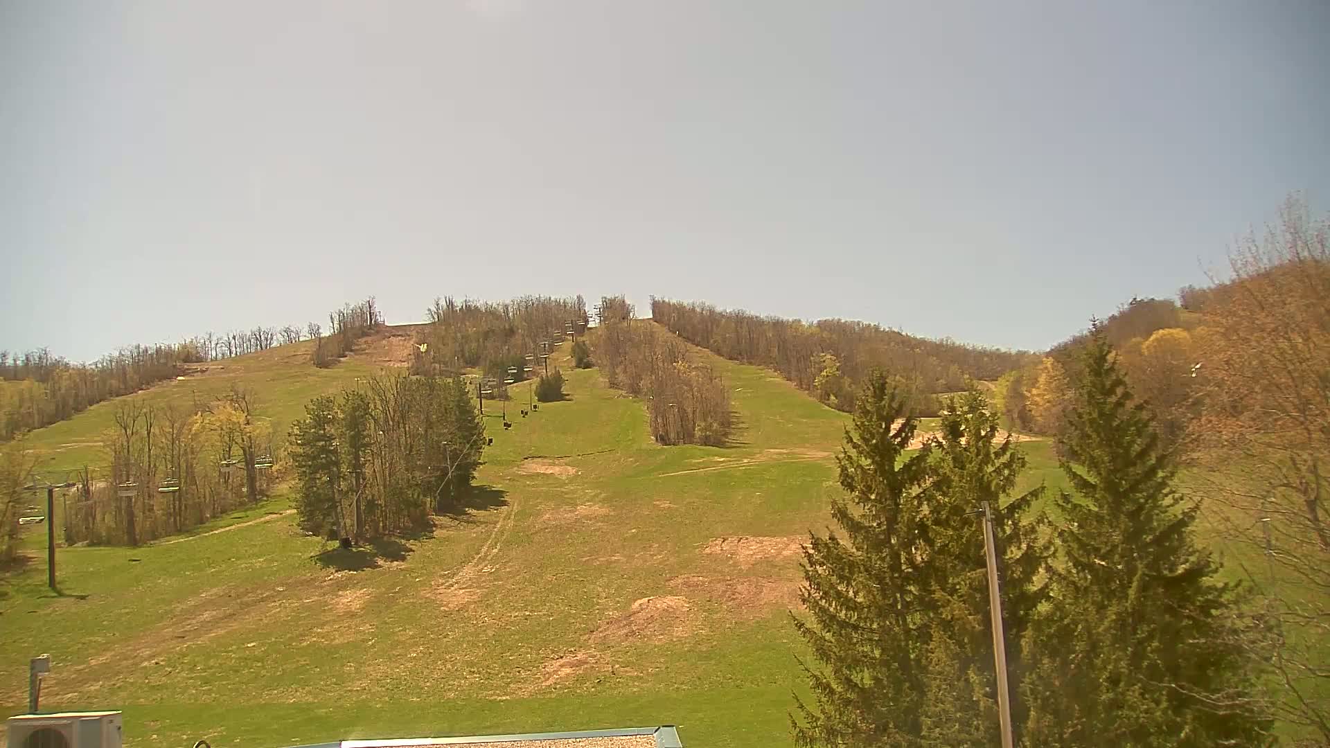 A grassy ski slope with sparsely leafed trees and chairlifts under a clear, bright sky.